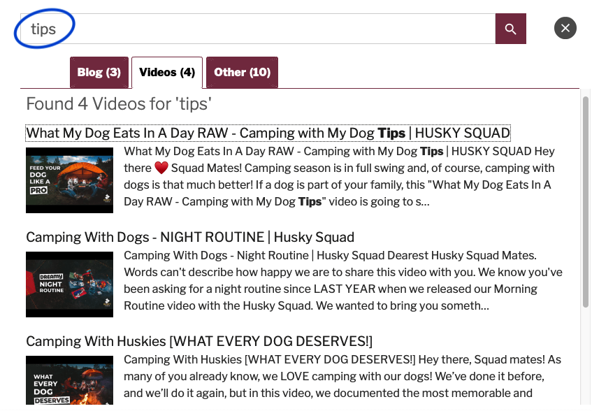 Optimal search results with Site Search 360